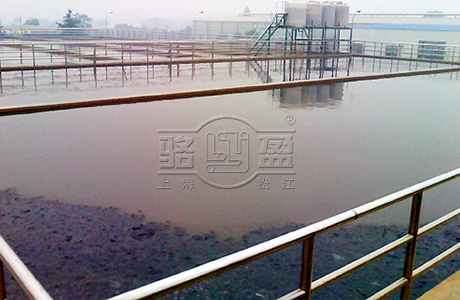 成都市三瓦窑污水处理厂采用上海骆盈翻边橡胶接头